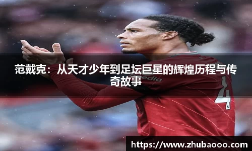 范戴克：从天才少年到足坛巨星的辉煌历程与传奇故事